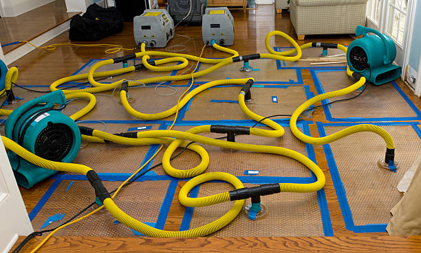 Professional Burst Pipe Water Damage technician working in Carrollton, IL